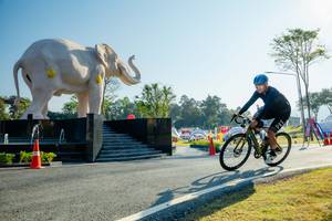 BIB: 
                            <button type="button" onclick="openModal(26182997)" class="btn btn-primary btn-sm float-right btn-popup" data-toggle="modal" data-target=".modal-high-quality">
                        <i class="fas fa-shopping-cart"></i> Add to Cart
                    </button>
                                            <button type="button" onclick="isThisMe(26182997, true)" class="btn btn-success btn-sm float-right btn-popup btn-isme hidden" data-toggle="tooltip" data-placement="bottom" title="นี่คือรูปของคุณใช่ไหม คลิกที่นี่เพื่อเอาเข้าอัลบั้ม">
                        <i class="fas fa-plus"></i> Add to album
                    </button>
                    <button type="button" onclick="isThisMe(26182997, false)" class="btn btn-warning btn-sm float-right btn-popup btn-isnotme hidden">
                        <i class="fas fa-ban"></i> Remove from album
                    </button>